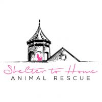 shelter to home .jpg