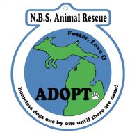 NBS Animal rescue .jpg