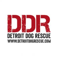 Detroit Dog Rescue_Logo.jpg