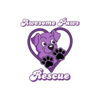 Awesome Paws Rescue_Logo.jpg
