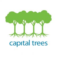 Capital Trees_Logo.jpg
